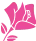 rose active